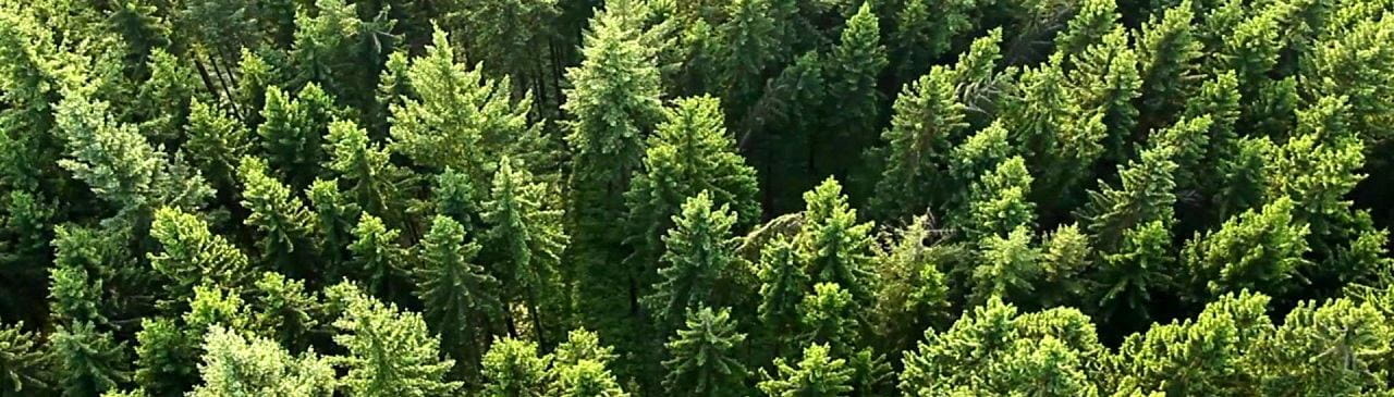 ISO 14001:2015 ——環(huán)境管理體系