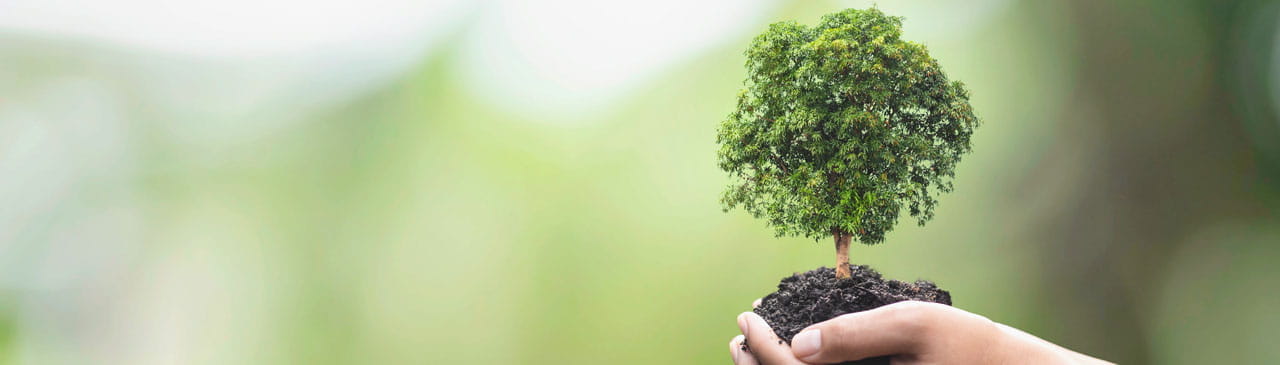 TÜV SÜD的能源轉(zhuǎn)型之道